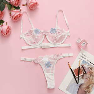 Ensemble de lingerie sexy et romantique pour femme, avec dentelle érotique brodée transparente à l'arrière - Product Image 6
