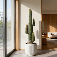 Plante artificielle de cactus tropical succulente en plastique durable, haute simulation, décoration intérieure pour cérémonie de remise de diplôme, mariage, cactus