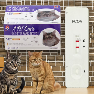 Pruebas Fecales Veterinarias para Gatos, Pruebas <span class=keywords><strong>de</strong></span> Diagnóstico Rápido <span class=keywords><strong>de</strong></span> Cryptosporidium para Uso Doméstico en Gatos - Product Image 2