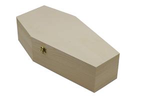 Petdom Petites urnes funéraires en bois brut à remplir pour fêtes d'Halloween, décoration gothique, enterrements d'animaux de compagnie - Product Image 4
