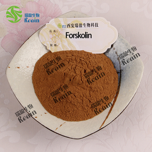 Ekstrak tanaman suplemen kesehatan ekstrak Coleus Forskohlii bubuk <span class=keywords><strong>Forskolin</strong></span> CAS 66575-29-9 20% ekstrak <span class=keywords><strong>Forskolin</strong></span> - Product Image 2