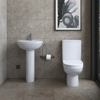 Garde-robe de salle de bain sans monture peu encombrante Toilette sanitaire Dos au mur Toilette en céramique sans réservoir d'eau Toilette Western Piss