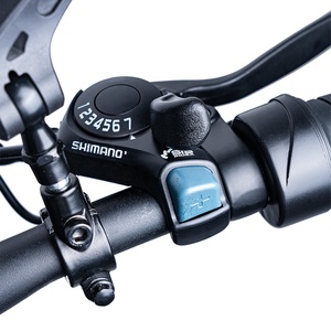 Bicicleta Eléctrica Todoterreno de Alto Rendimiento de 1000W, Batería de 48V 15Ah, Neumáticos Anchos, Frenos de Disco Hidráulicos de Aluminio - Product Image 4