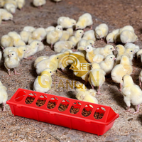 Qianqin Abreuvoir en plastique à 28 trous pour volailles, mangeoires pour animaux de ferme, 20 pouces, prix abordable, bonne qualité, usine chinoise, 50 cm de long