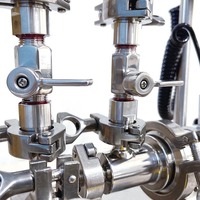 Émulsifiant Dispersant Modulaire en Ligne à Cisaillement Élevé F22ZD pour Produits Chimiques, Alimentaires et Plastiques, 220V, Capacité 2L, 0.5kW