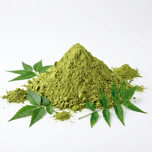 Poudre d'extrait de Neem sauvage de haute qualité, qualité cosmétique, certifiée GMP ISO, fabricant d'Inde, emballage en fût - Product Image 1
