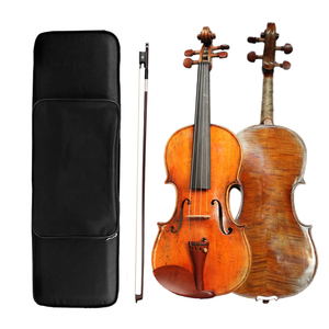 Violino Acustico NAOMI Master Antique con Finitura a Olio, Top in Abete Europeo, Fondo in Acero, Misura 4/4, con Archetto IPE, Ponticello e Custodia - Product Image 1
