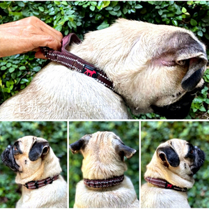 Collar de Nailon Resistente para Perro |   Hebilla Ajustable <span class=keywords><strong>El</strong></span>ástica |   Diseño Reflectante Impreso |   Bufanda de Moda para Decoración, para Todos - Product Image 3