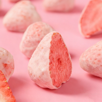 Hoogwaardige hele FD aardbeienmelk/cacao/matcha chocolade bedekte zoete gevriesdroogde fruit snoepjes