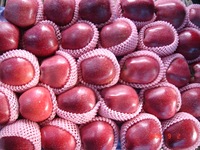 Goût chinois frais et gluant, ml, attaches, rouges, exquises, vente en gros
