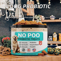 Friandises à mâcher probiotiques OEM pour chiens et chats - Riches en protéines, absorption rapide, ingrédients naturels, favorisent la santé digestive, renforcent l'immunité