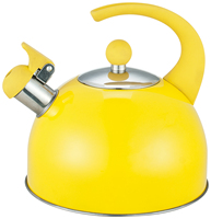 2.5L usage domestique en acier inoxydable sifflement thé bouilloire bakélite poignée Induction fond résistant à la chaleur métal plastique verre matériel 3L