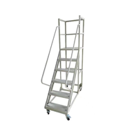 Échelle mobile multifonctionnelle avec plateforme de travail, passerelle industrielle, escalier en acier, design moderne pour usage en entrepôt