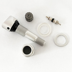 <span class=keywords><strong>TPMS</strong></span> Van Xe Hơi Van Cảm Biến <span class=keywords><strong>TPMS</strong></span> Hệ Thống Giám Sát Áp Suất Bộ Thân Van Lốp Cảm Biến Có Nắp Chống Bụi Bằng Nhôm - Product Image 3
