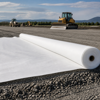 Géotextile respirant en PP/PET non tissé, écologique, pour la construction routière, 150-350 g/m², stabilisation des sols, drainage