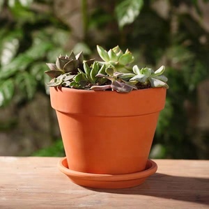 Jardinière en céramique de <span class=keywords><strong>terre</strong></span> <span class=keywords><strong>cuite</strong></span> de <span class=keywords><strong>grande</strong></span> taille écologique avec trou de drainage Pot de fleurs de jardin pour plantes succulentes Décoration d'intérieur - Product Image 3
