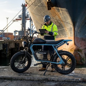 48V Elektrofahrrad mit 20-Zoll-Reifen, Harbor E-Bike für Hafeninspektion - Product Image 1