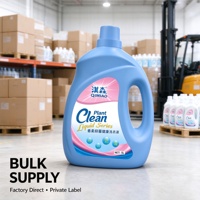 Détergent liquide pour blanchisserie d'hôtel de 5 gallons, usage intensif, vente en gros, directement de l'usine, OEM, étiquette privée