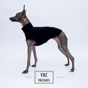 Chaleco <span class=keywords><strong>Deportivo</strong></span> YDC para Perros, para Todas las Estaciones, de Seda Helada, Ligero, de Alta Elasticidad, para <span class=keywords><strong>Galgo</strong></span> Italiano, Whippet y Bellington - Product Image 4
