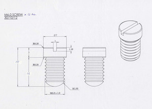 Brass rãnh không đầu đặt vít với chamfered End - Product Image 3