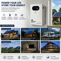 Batterie de stockage d'énergie murale à longue durée de vie 25,6V 100Ah 2560Wh LiFePO4 Lithium avec BMS intégré pour un stockage de puissance sécurisé