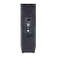 DEKEN S3 - Par de Altavoces Profesionales de 15'' y 300W, Altavoces Activos para Bodas y Fiestas con Dos Micrófonos Inalámbricos