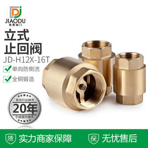 Vannes de retenue verticales en laiton à filetage interne avec ressort et noyau en cuivre - Réductions en gros disponibles - Product Image 5