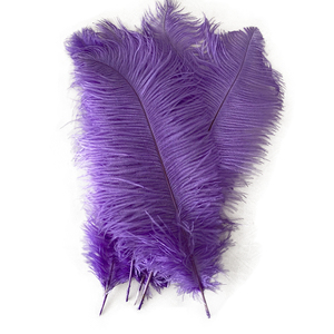 Plumas de Avestruz de Alta Calidad al por Mayor de 30-35 cm para Disfraces de Carnaval, Samba, Centros de Mesa para Bodas <span class=keywords><strong>y</strong></span> Decoraciones - Product Image 2