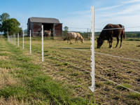 Poteau de clôture électrique renforcé en PP blanc de 1,2 m avec pointe galvanisée, 8 supports pour fils et rubans, pour l'élevage de bétail