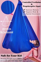Balançoire sensorielle OEM Fashion pour enfants avec kit de suspension, balançoire thérapeutique d'intérieur, idéale pour les troubles du traitement sensoriel et l'ADHD