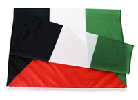 Drapeau de la Palestine personnalisé 3*5 pieds, noir, blanc, vert, bannières nationales personnalisées, affichage des drapeaux palestiniens, triangle rouge palestinien