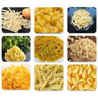 Machine à Spaghetti Automatique Machine à Nouilles Électrique Machine à Pâtes Pâte Machine à Macaroni