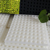 Panneau de mousse de radeau flottant EPE personnalisé en usine plaque de mousse de croissance XPS conseil pour système de culture de légumes hydroponiques
