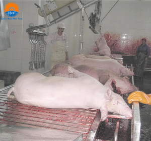 Machine d'abattage automatisée pour grande abattoir de porcs, garantie 1 an, équipement en acier inoxydable, 380V 220V - Product Image 5