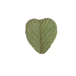 12pcs/pack Raspberry Leaf Heart Shape Leaf Pressed Botanical For Candle Making DIY Craft Resin Art Frame Home Deco.