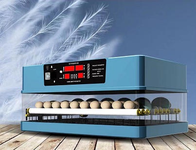 Intelligent Control mini egg incubator