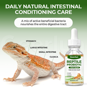Líquido Nutritivo Oral para Reptiles a Precio de Fábrica, Regula el Equilibrio Intestinal, Mejora la Digestión, Gotas Probióticas para Lagartos, Geckos y Tortugas - Product Image 3