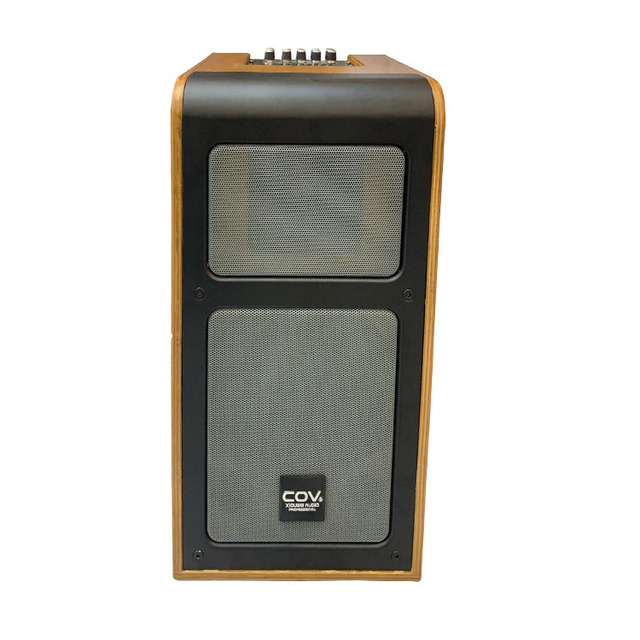 Playing and Singing  Audio System Speaker  Support  with Multiple Live Streaming Platforms