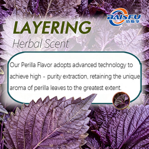 Extracto de Planta con Aroma Herbal a Menta y Anís, Sabor y Fragancia Natural de Perilla de Grado Alimenticio, en Forma Líquida/en Polvo - Product Image 1