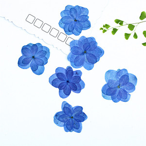 Fleurs d'hortensia bleues à double pétale, séchées et pressées, pour la résine, les coques de téléphone, les marque-pages, le scrapbooking et les loisirs créatifs - Product Image 3