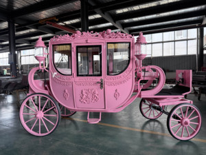 Carruaje Real Eléctrico Cerrado de Lujo Europeo en Oro Blanco, Personalizable, Estilo Vintage, para Paseos de Princesas - Product Image 4