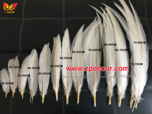 Qibest — plumes de queue de faisan argent blanc, 70-75 cm, fournitures d'usine, pour Costumes de carnaval, vente en gros - Product Image 4