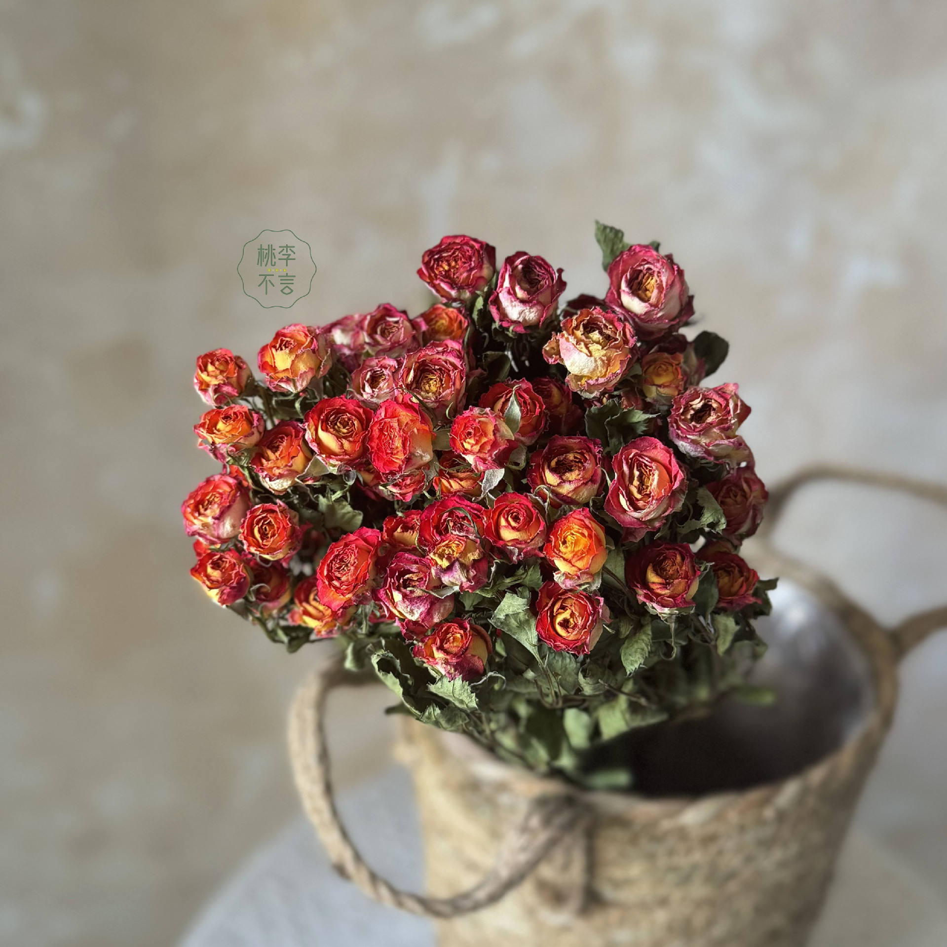 ดอกอลิซ30ดอกมีขนาดเส้นผ่าศูนย์กลางประมาณ1-2ซม