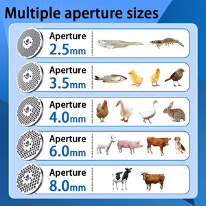 Macchina per Pellet Storsen per Uso Domestico, Tensione Personalizzabile 220V/380V, Pelletizzatore Multifunzionale - Product Image 6