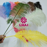 Couleurs teintées 16-18 ''40-45cm plumes de queue de plume d'autruche Plumas pour vêtement de mariage robe accessoire fête Festival carnaval