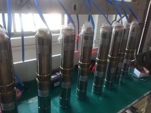 Vendita diretta in fabbrica pompa ad acqua sommergibile per pozzo profondo solare per irrigazione agricola fiume multi-scena - Product Image 6