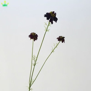 Rami di Fiori Artificiali di Scabiosa, Fiori di Seta a Stelo Lungo per Vasi Alti, Decorazioni Floreali per Casa e Matrimoni, Decorazioni Autunnali - Product Image 5
