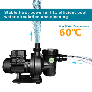 <span class=keywords><strong>Cadisdon</strong></span> HLS-120 Professinal 1.2HP nhà máy hồ bơi Máy bơm nước - Product Image 3