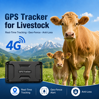 Traceur GPS anti-perte pour bétail avec alarmes de vibration et de batterie faible pour bovins, chevaux, vaches laitières et agneaux, traceur GPS pour pigeons