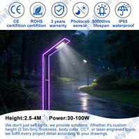 Lampe de jardin intelligente à double bras avec bande LED RGB, alimentation CA personnalisée, profil en aluminium, éclairage de cour